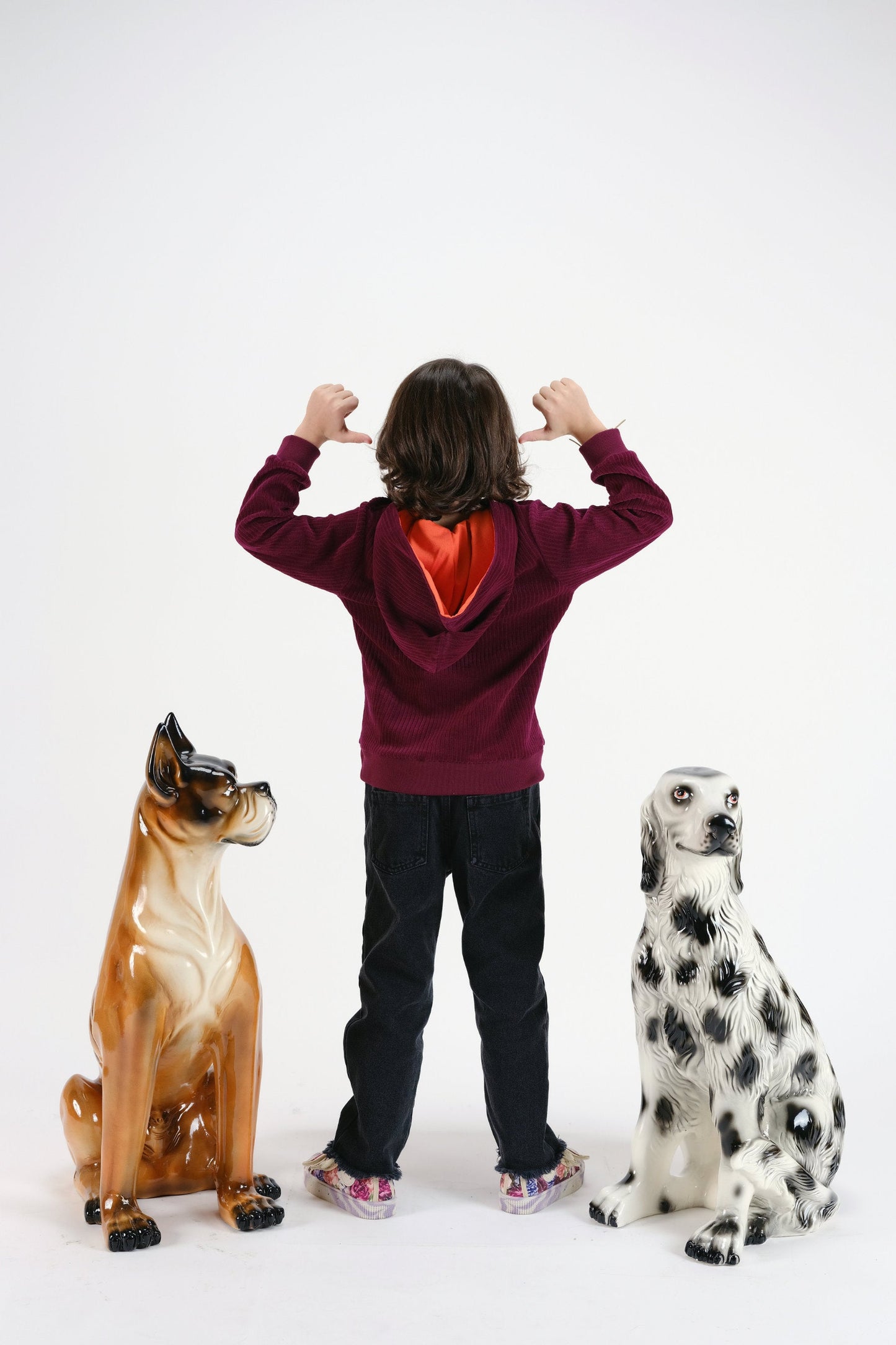 SWEATSHIRT David WWBD?