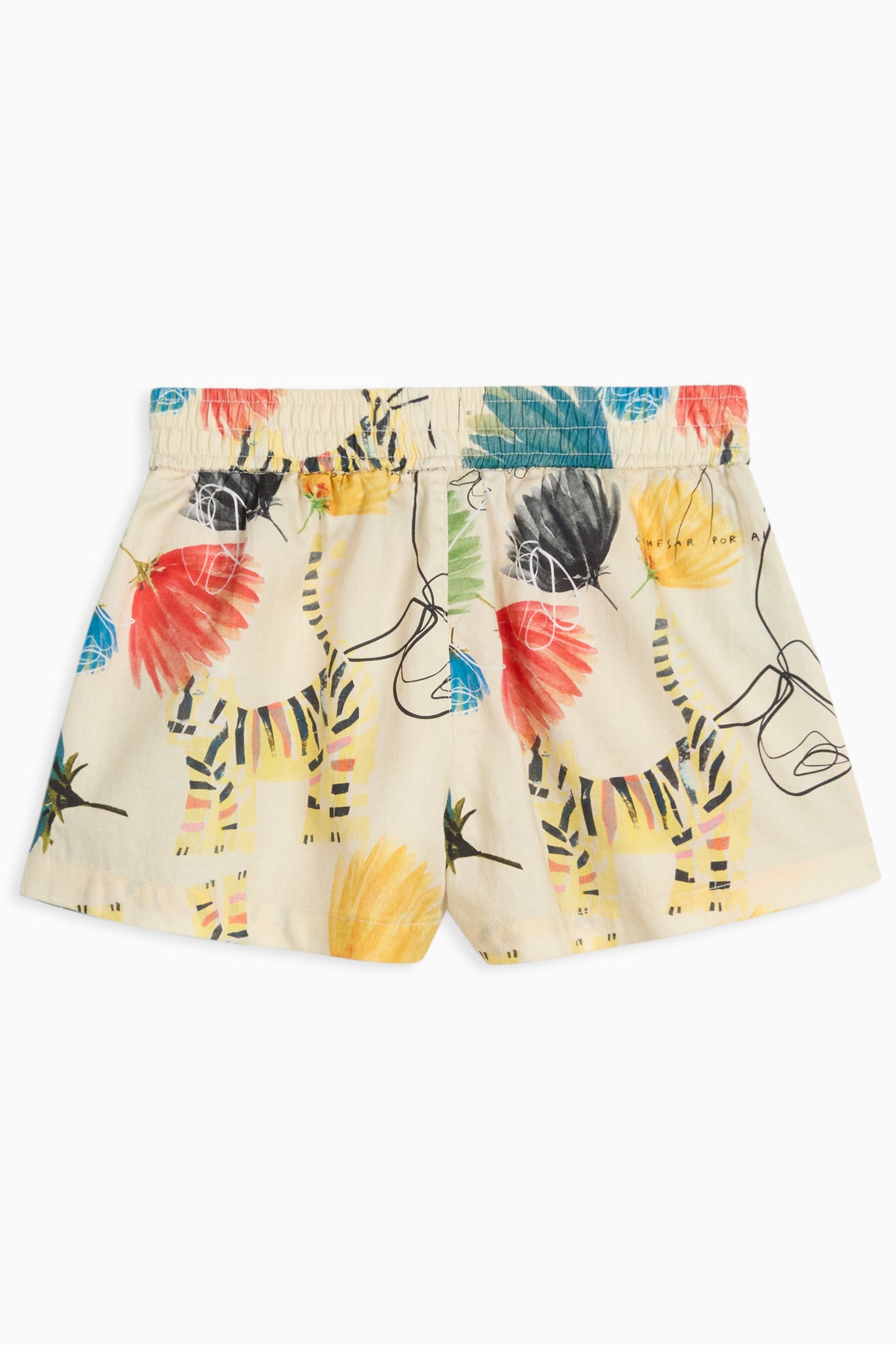 SHORTS Augusto Dandelion
