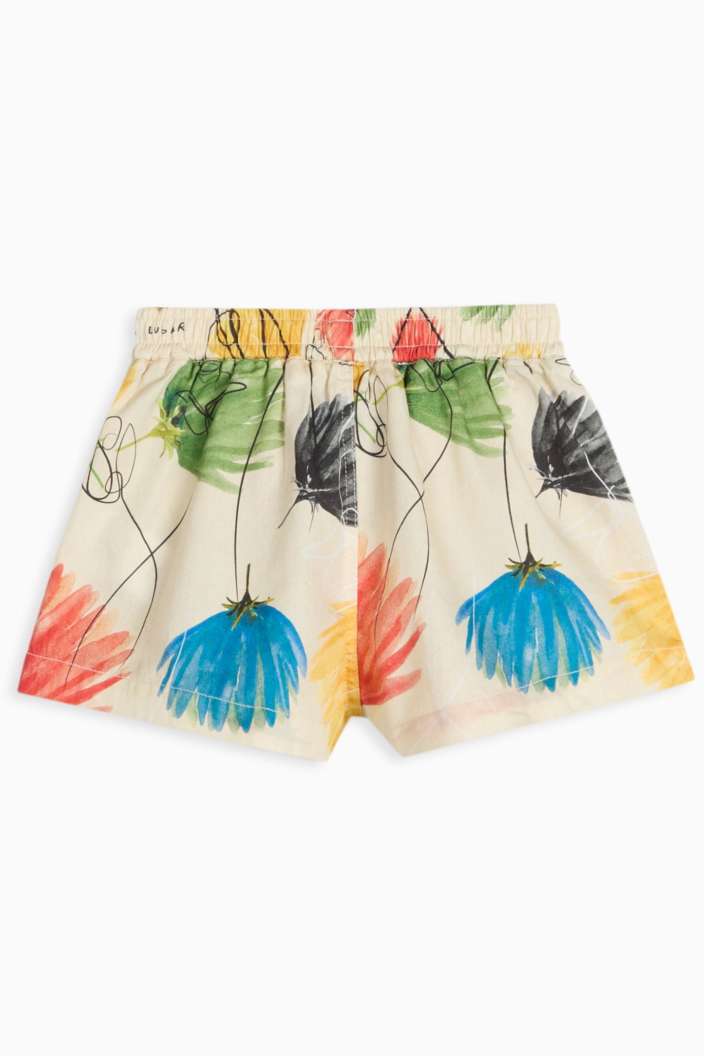SHORTS Augusto Baby Dandelion