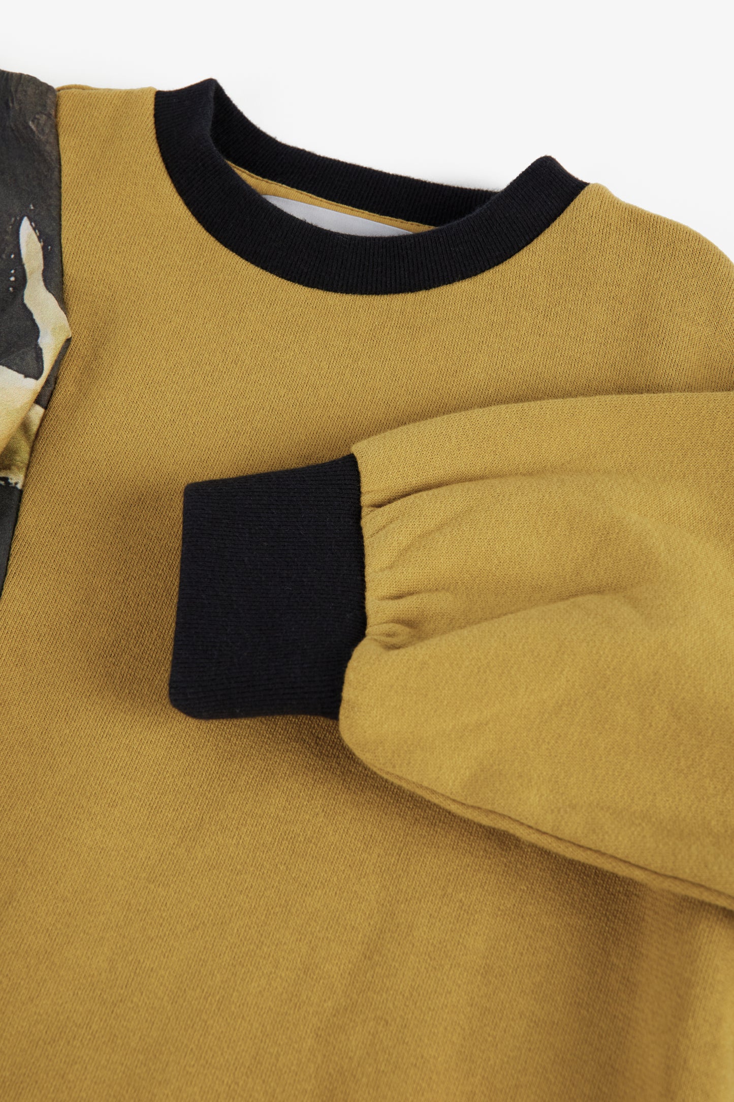 SWEATSHIRT Bernardete Olive