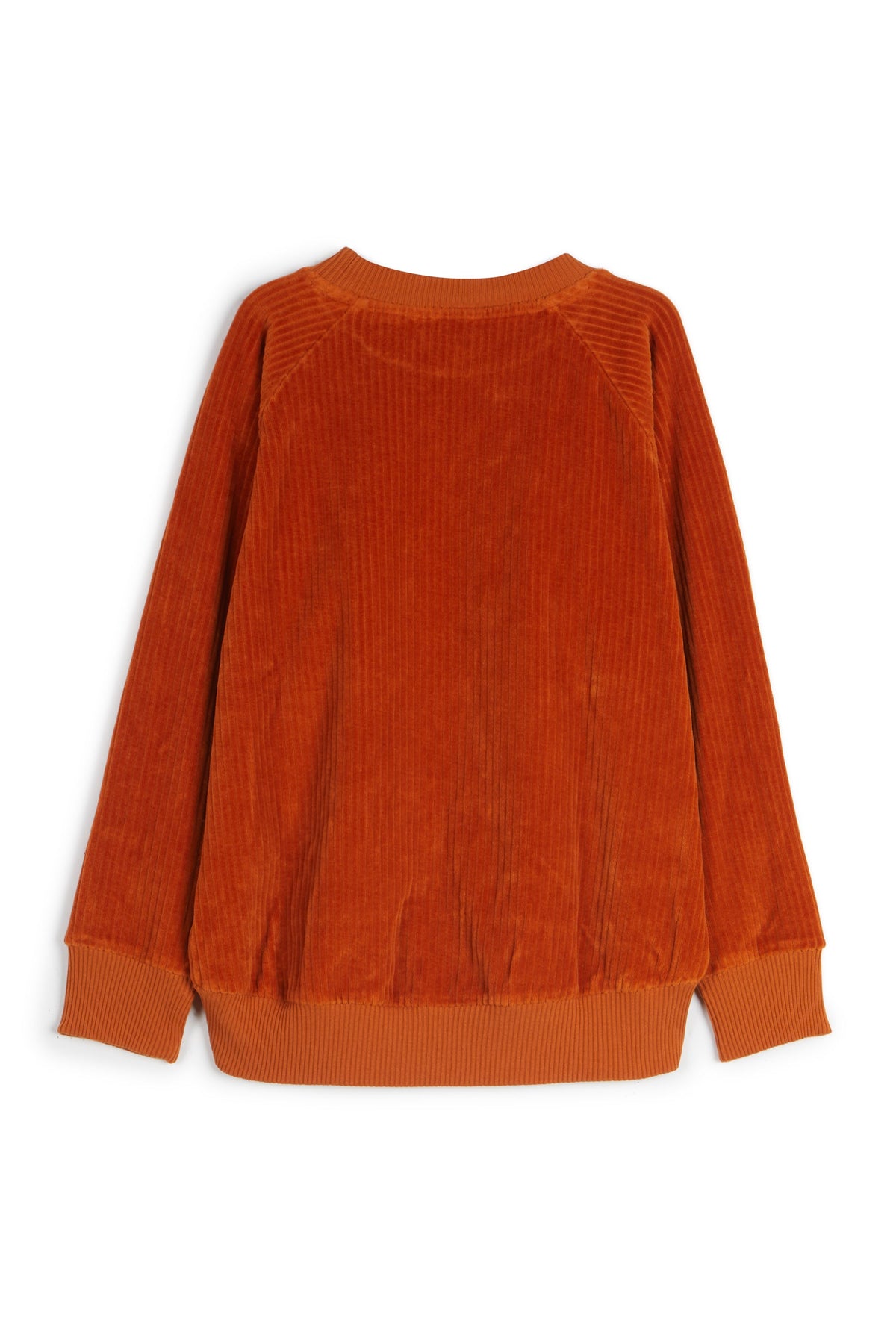 SWEATSHIRT Bernardo Sunshine
