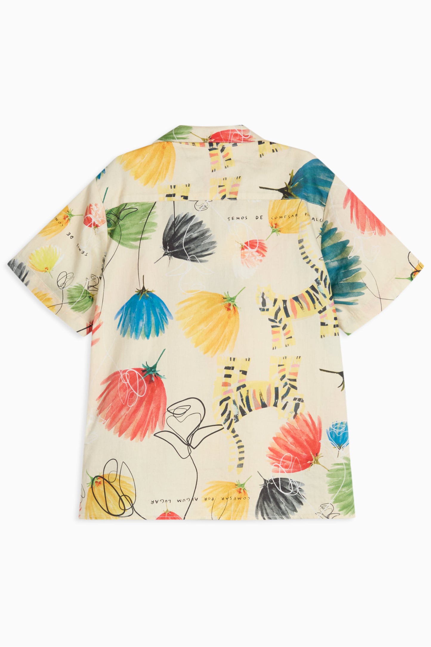 SHIRT Bruno Dandelion