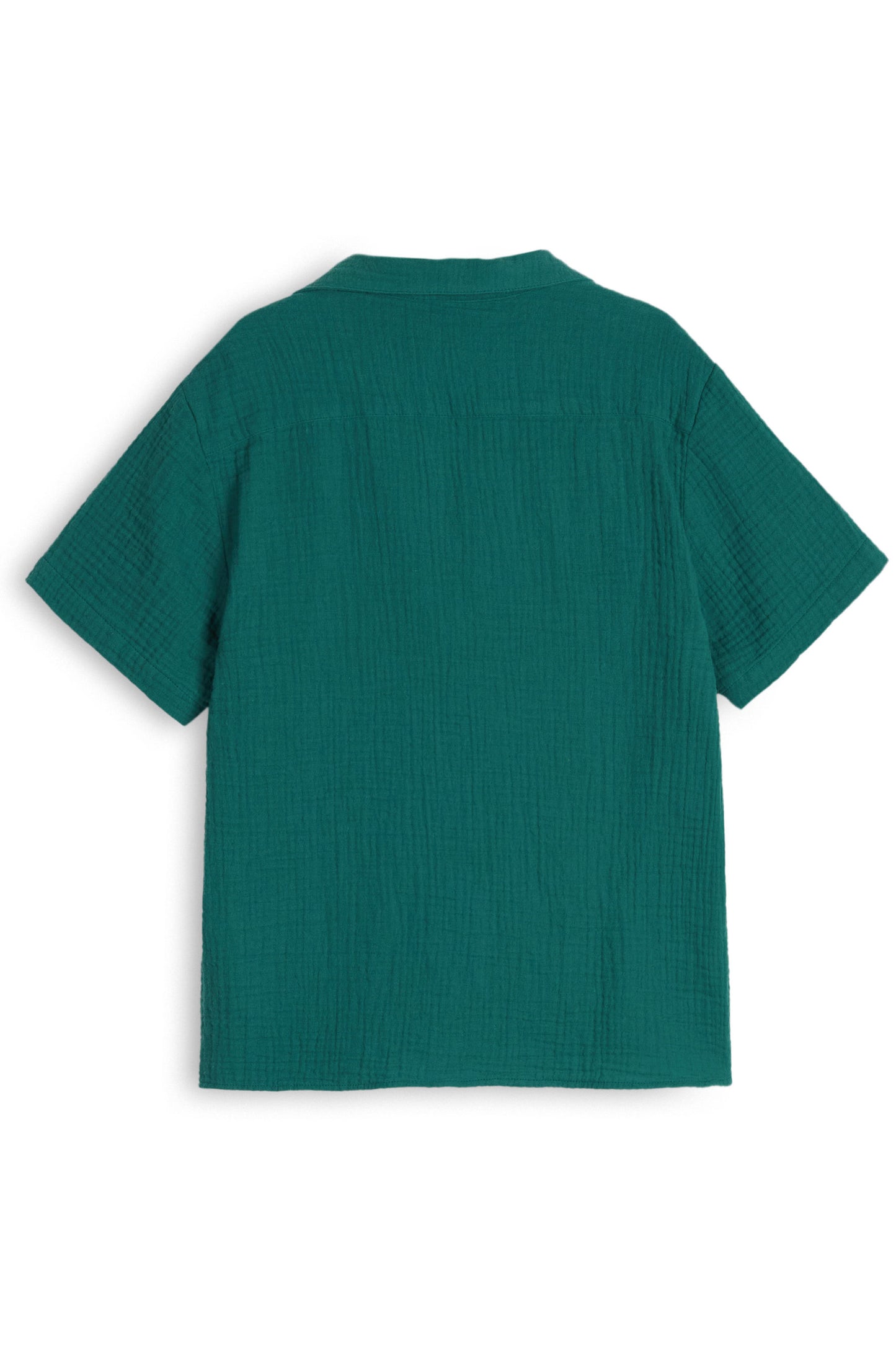 SHIRT Bruno Emerald