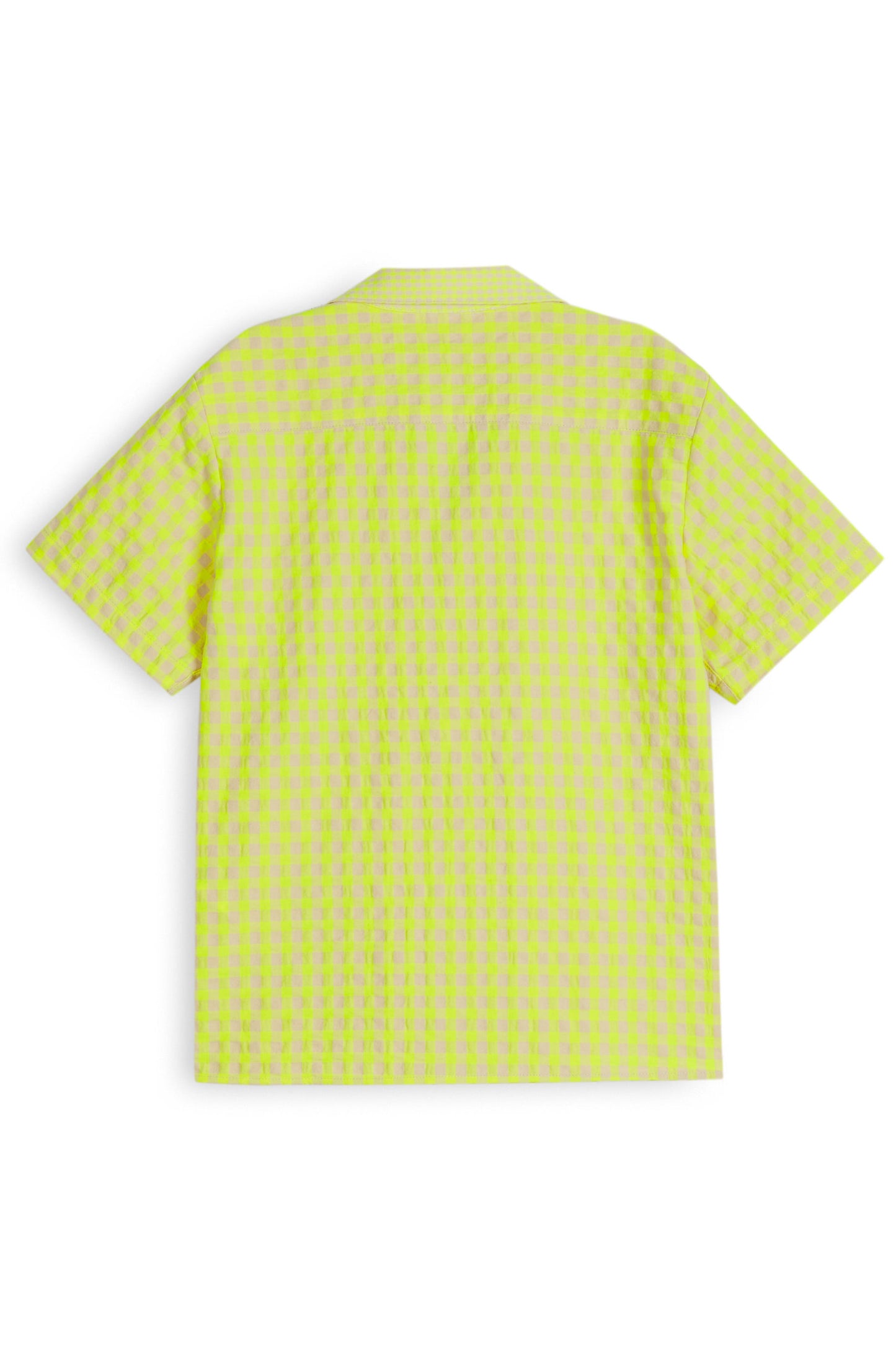 SHIRT Bruno Fluor