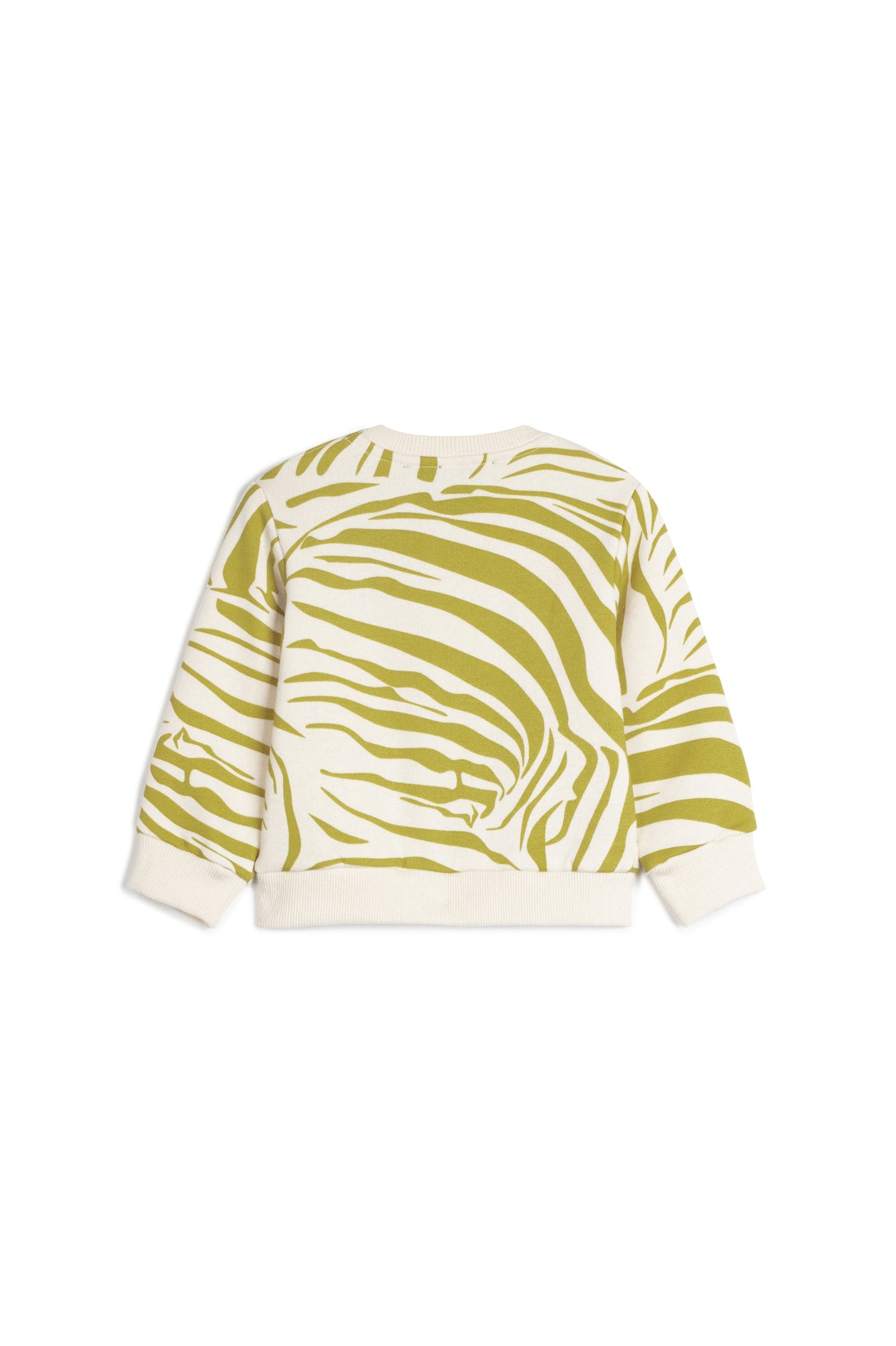 SWEATSHIRT Matias Zebra Olive