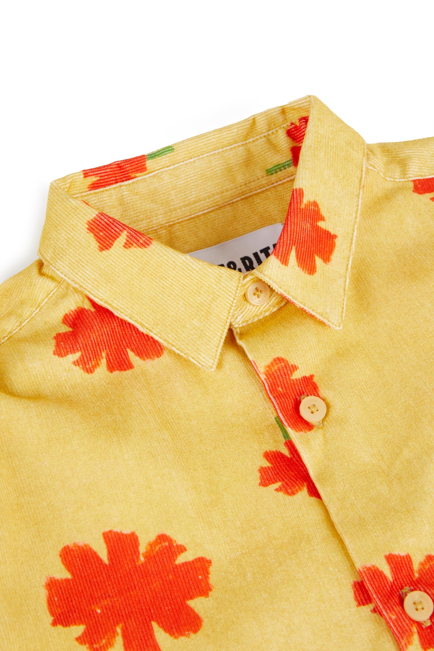 SHIRT Roberto Cravos