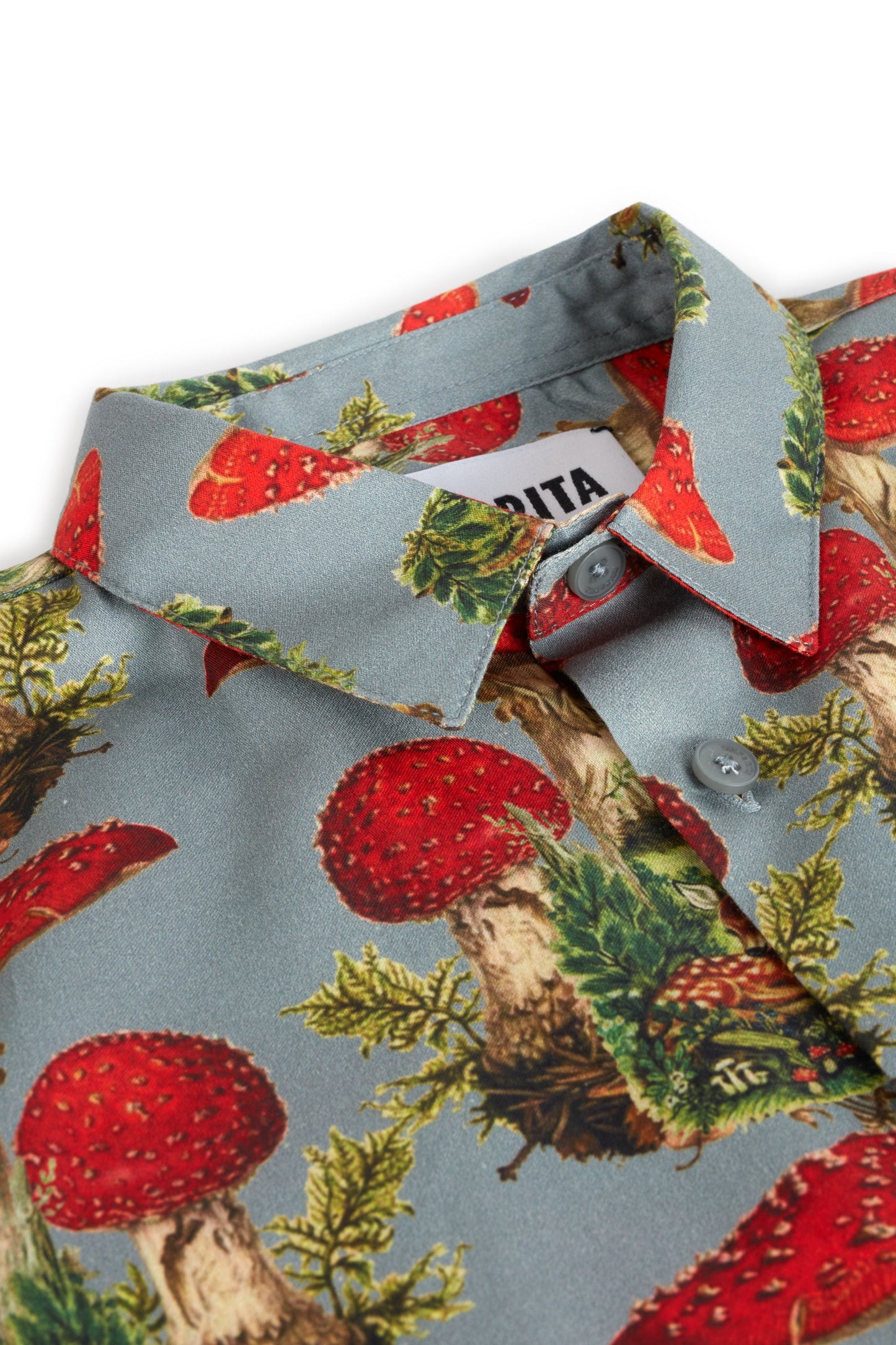 SHIRT Roberto Wonderland